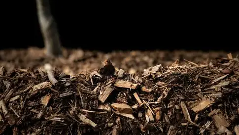 rachat de bois forestier Maine-et-Loire-5